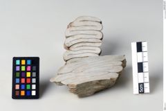 Foto von Anhydrit (NHMW-MIN-Aa3471)